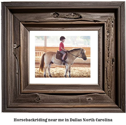 horseback riding near me in Dallas, North Carolina